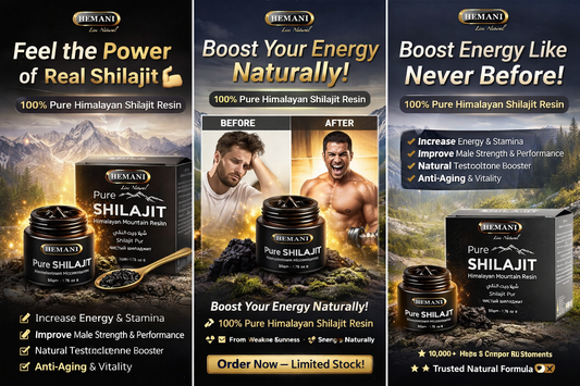 Pure Shilajit – Himalayan Mountain Resin | Energy, Stamina & Anti-Aging Natural Supplement (50g)